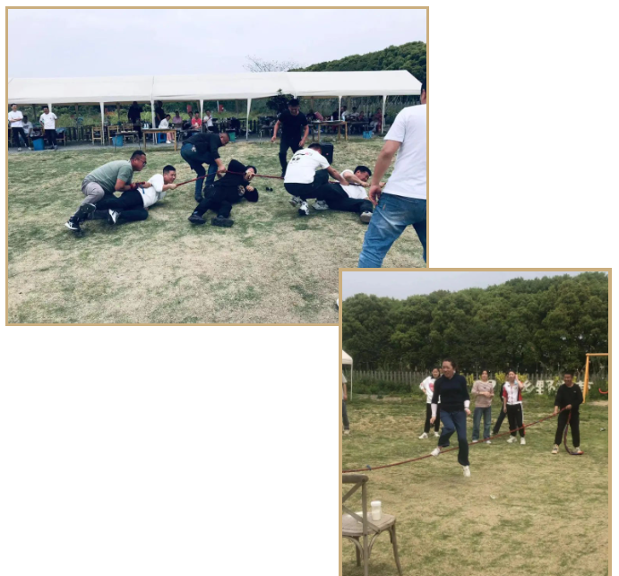 1683360866502048.png 701729032191435e7bc6c6fd31e848e.png